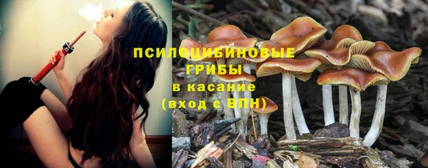 мескалин Арсеньев