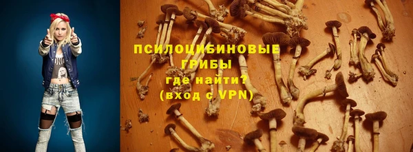 мескалин Арсеньев
