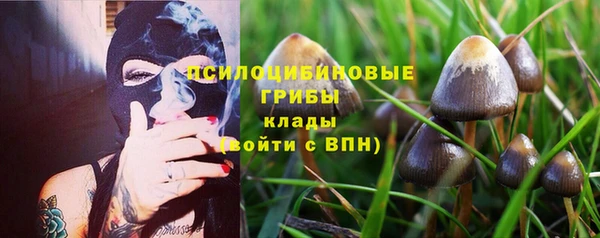 мескалин Арсеньев