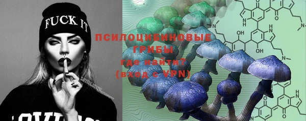 мескалин Арсеньев