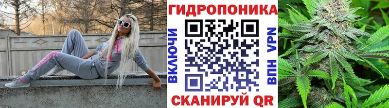 купить наркотик  Сасово  МАРИХУАНА сатива 